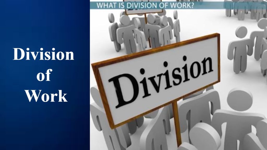 Division of Work